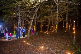 Ronde des sangliers à Saint Martin du Fresne - TourismeHautBugey©2014_MarcChatelain