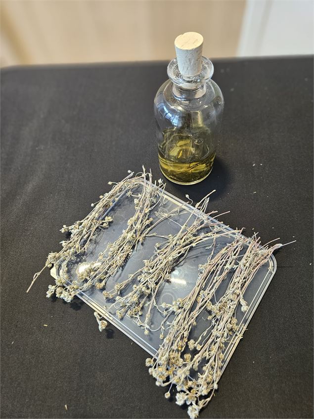 Atelier fabrication de Génépi_Taninges - Poudre d'Escampette