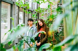 Roshâni - Laureat Bakolli