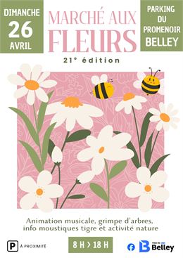 Marché aux fleurs_Belley - Ville de Belley