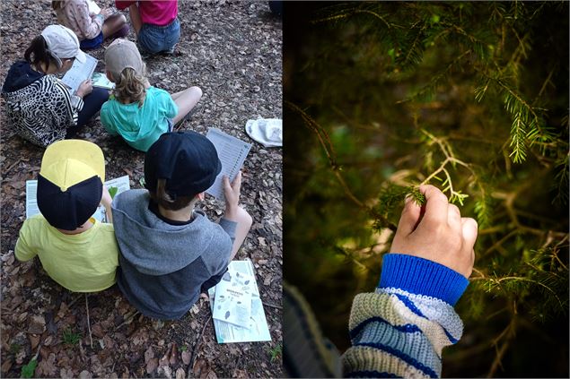 Atelier Nature en Famille 