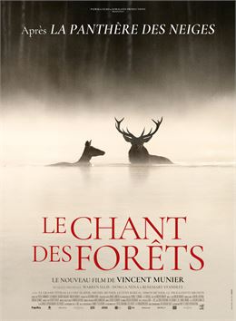 CINEMA : Le Chant des forêts - Allociné