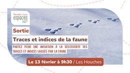 Sortie nature - Initiation aux traces et indices de la faune_Les Houches