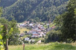 Conférence « Les forêts au début XIXe siècle en Savoie et en Tarentaise », par Pierre Judet._Moûtier