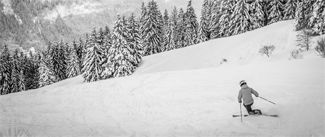 Telemark - Generation telemark