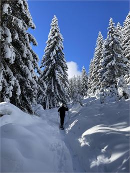 Sortie Raquettes et Fondue - Poudre d'Escampette