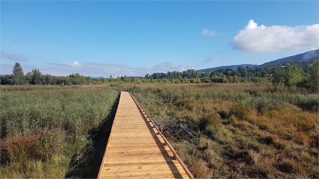 ENS marais de Vaux - CEN