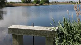 Thou de l'Étang Prêle - Léo Gombert