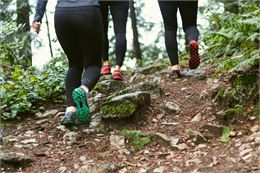 groupe de personnes en course à pied en forêt - Unsplash