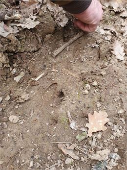 empreinte - CEN Rhône-Alpes