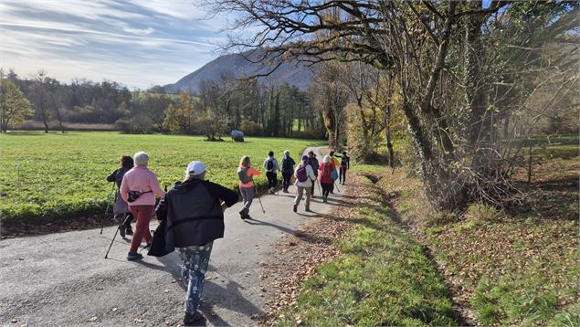 Marche nordique sous le soleil d'automne - J.GAUTHIER