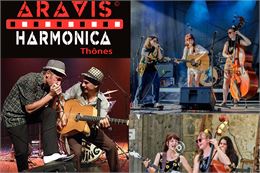 Rencontre régionale d'harmonicistes_Thônes - Aravis Harmonica