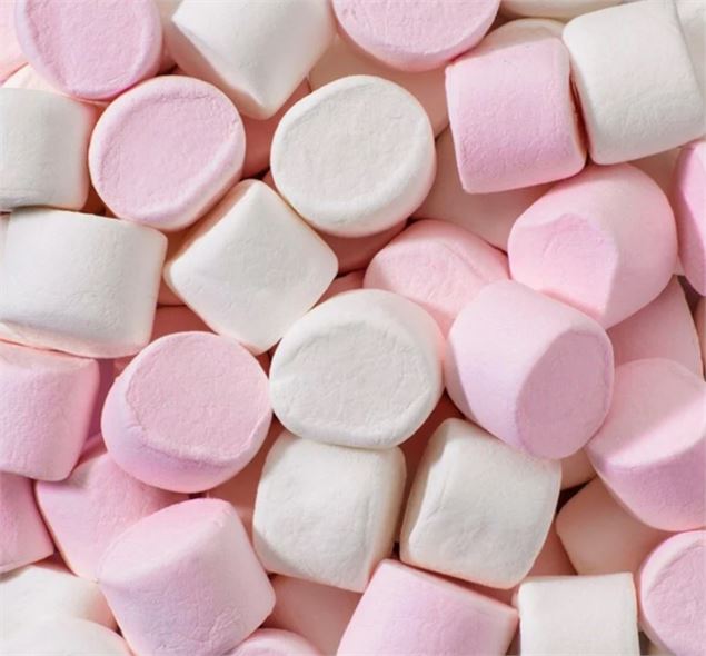 Chamallow's Party_Mieussy