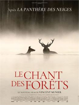 chant des forets - allo ciné