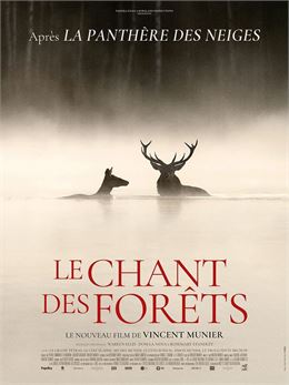 Cinéma - Le Chant des forêts_Pralognan-la-Vanoise