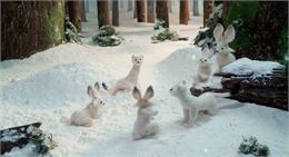 Ciné goûter I En route_Montchavin-les-Coches - Les films du Whippet