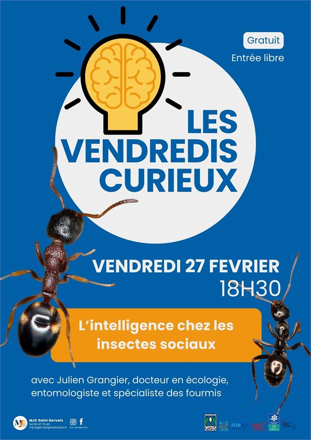 MJC - Les Vendredis Curieux_Saint-Gervais-les-Bains