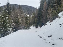 Balade modérée en raquettes_Aime-la-Plagne - La Plagne Vallée