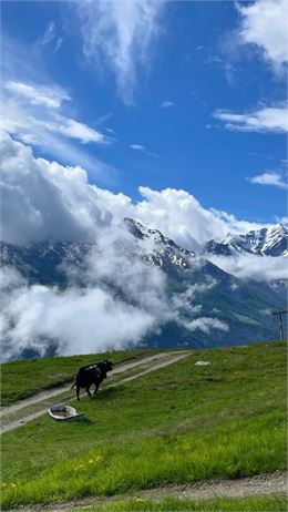 Fête de la mi-été 2026