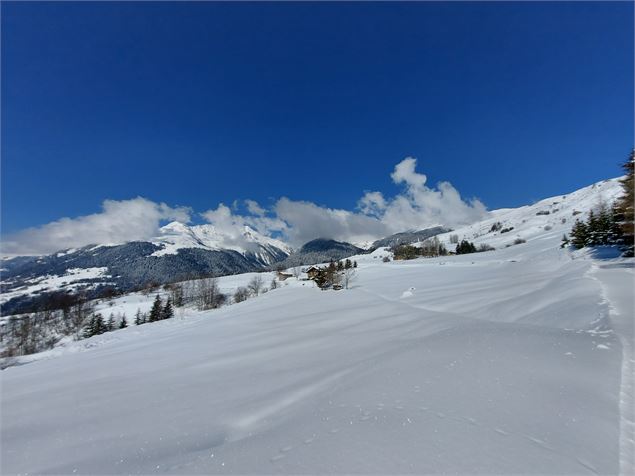 Balade modérée en raquettes_Aime-la-Plagne - La Plagne Vallée
