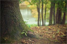 photo - Google