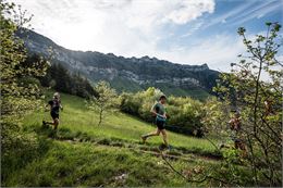 Trail Nivolet Revard - xavierwaerzeggers