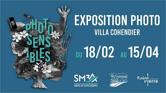 Exposition