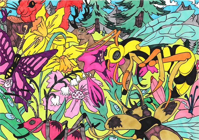 Exposition de dessins de Rémi Nadau_Morillon - Rémi nadau