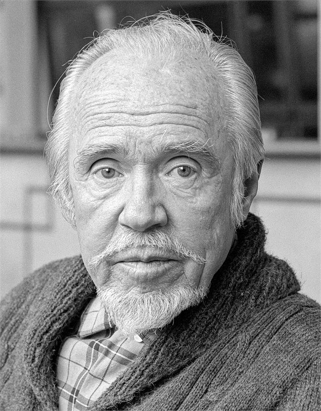 Peter Torvik - C.R. Irène de Groot