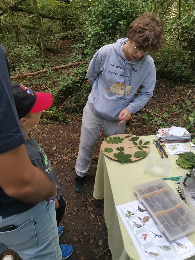 Rallye forêt Tournon - RDV nature en Savoie - Natur'Envie - Frédéric Isselin