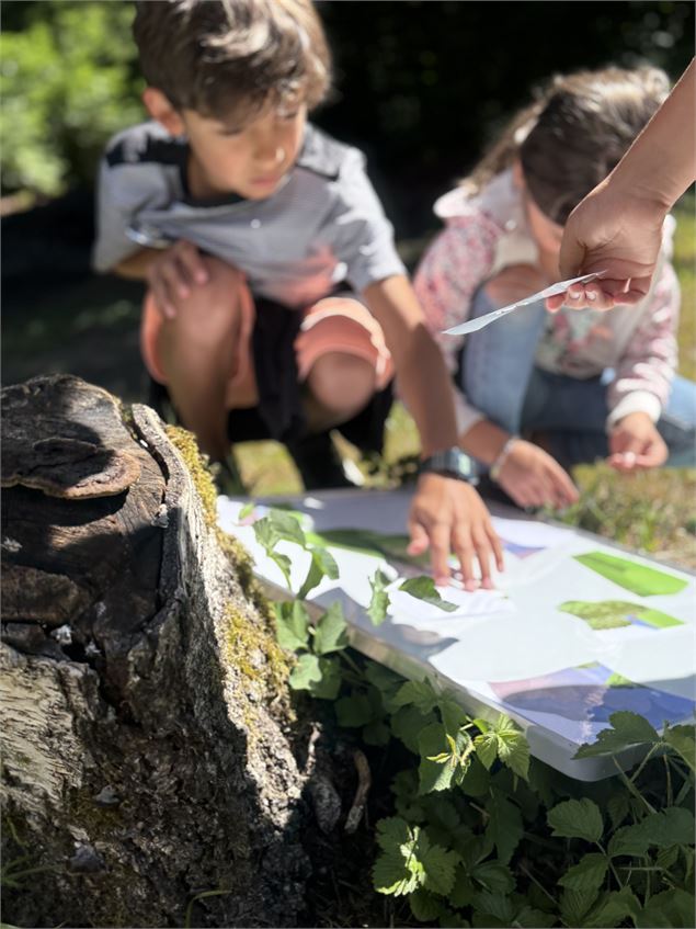 Les petits explorateurs - LPO AuRA