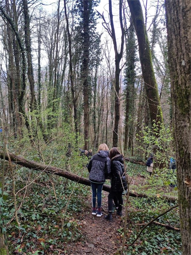 Observation dans les bois - FNE Savoie