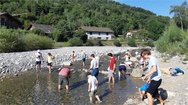 Découverte de la vie de la rivière - Frédéric Isselin