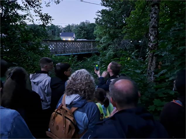 A l'affut des chauves-souris - LPO