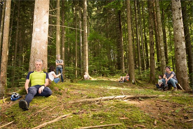Pause méditative en forêt - Alps Yak