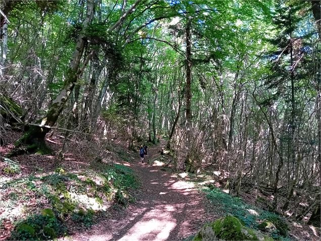 Sur les chemins du Lac noir... - CD73