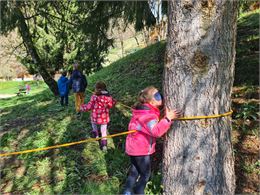 Fil d'ariane - immersion dans la forêt - Naturellement enfant - Emilie Lepage