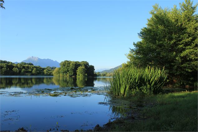 Lac de Ste Hélène - Montagne Nature et Hommes