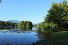 Lac de Ste Hélène - Montagne Nature et Hommes
