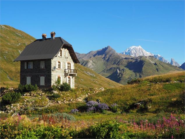 Jardin du Col du Petit St. Bernard - La Chanousia - Association Jardin historique du Col du Petit St