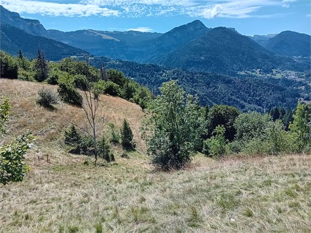Pelouses sèches - Département de la Savoie