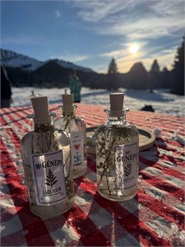 Atelier découverte et création de génépi_Saint-Gervais-les-Bains - Poudre d'Escampette