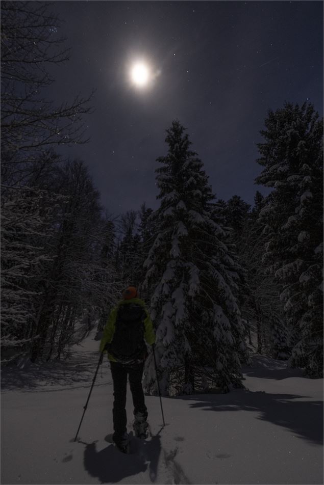 Balade nocturne - Emmanuel Dutordoir