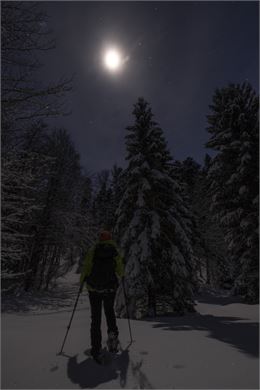 Balade nocturne - Emmanuel Dutordoir