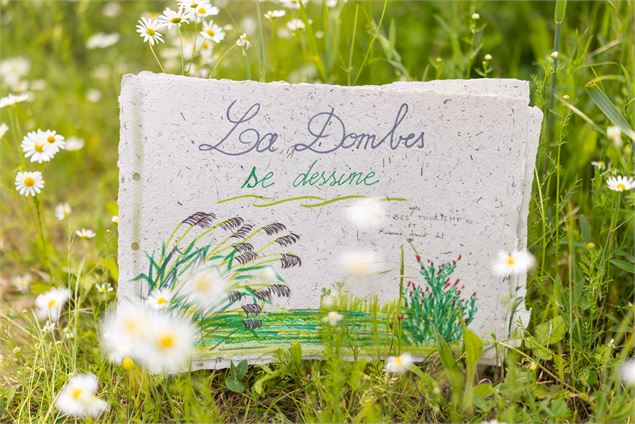 La Dombes se dessine à Prêle_Valeins - Jolies Lueurs