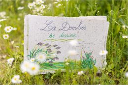 La Dombes se dessine à Prêle_Valeins - Jolies Lueurs