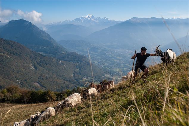 Soirée ciné-débat  