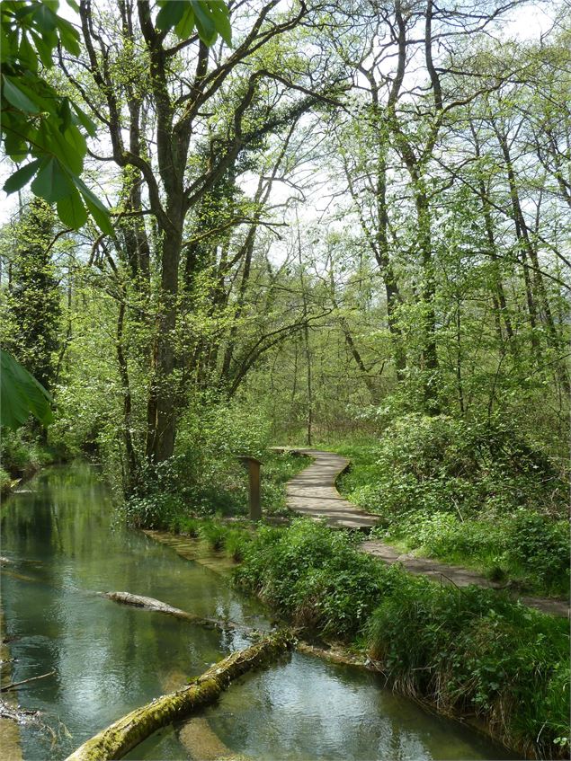 Marais et sentier - CEN Rhône-Alpes