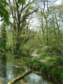 Marais et sentier - CEN Rhône-Alpes