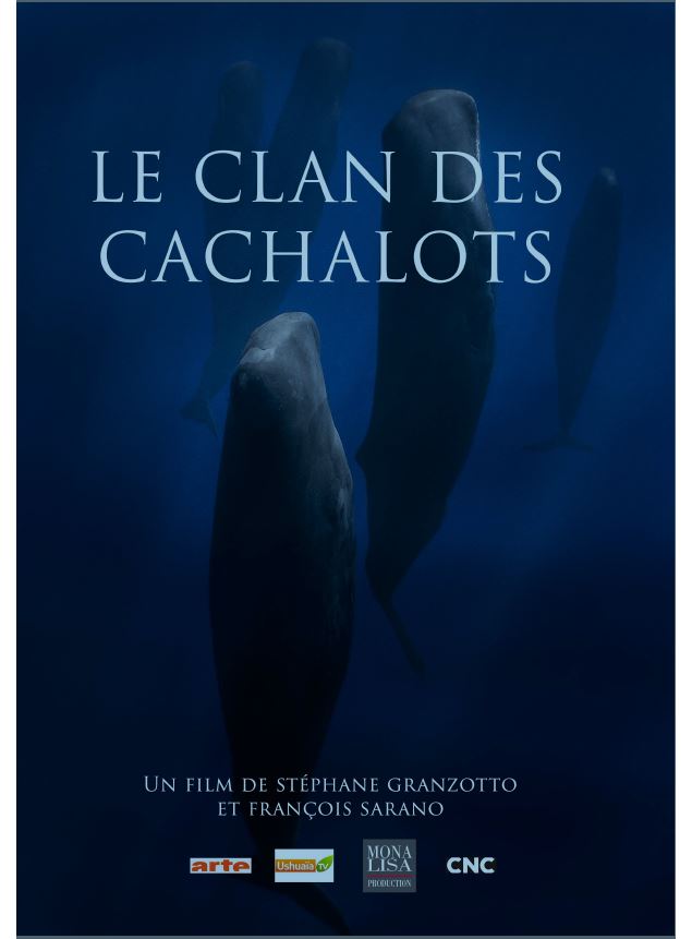 Projection - Le Clan des Cachalots - Stéphane GRANZOTTO_Saint-Gervais-les-Bains